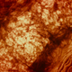 Image for article titled Gorgeous Tree of Life stills look like the greatest science epic of all time